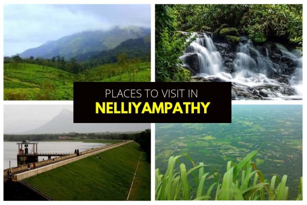 Nelliyampathy hill station combo