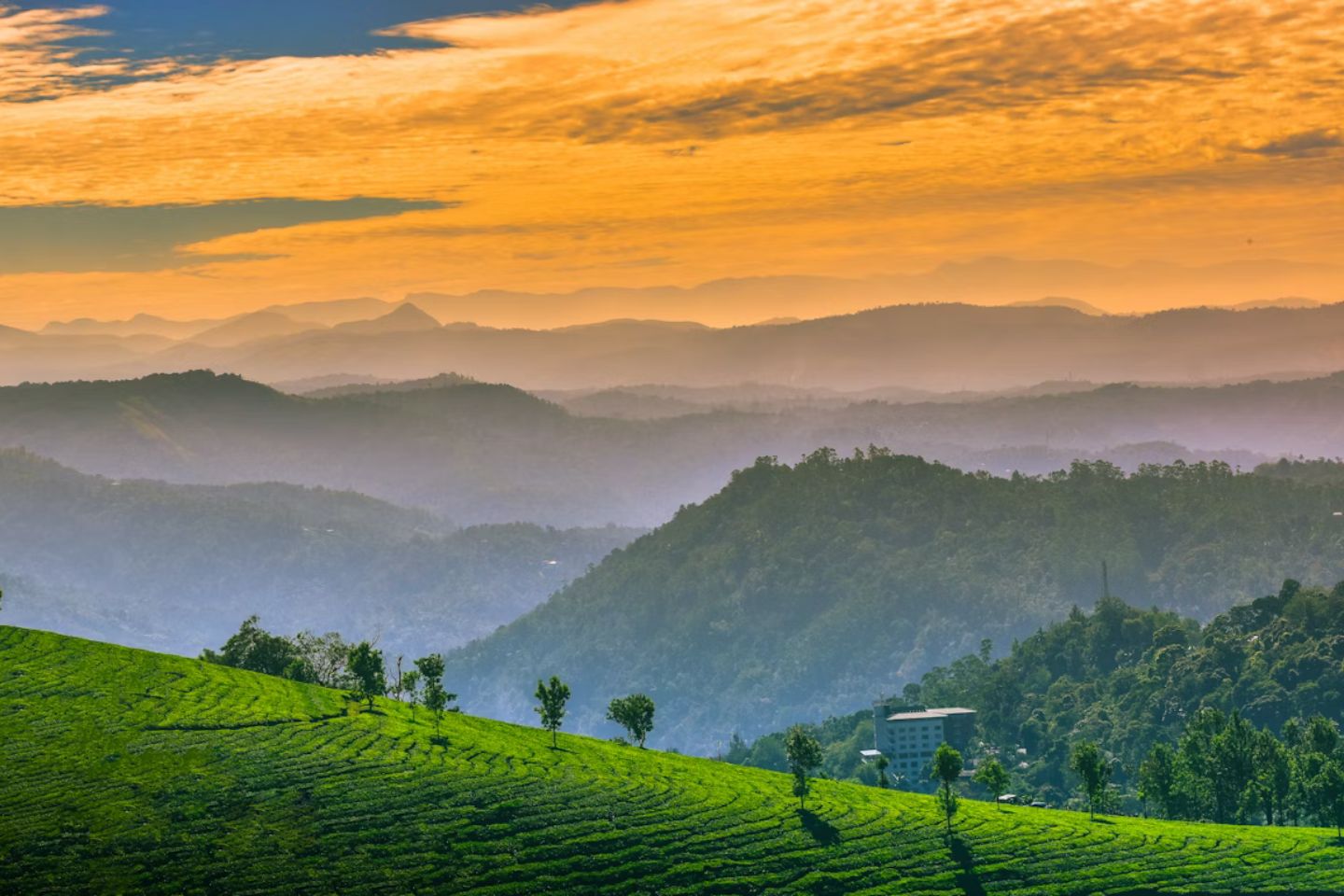 Valparai to Munnar via Top Slip